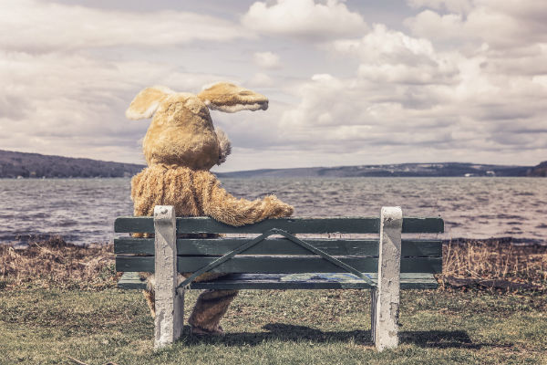 stock-photo-library
