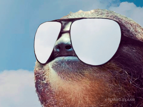 seal_summer.gif